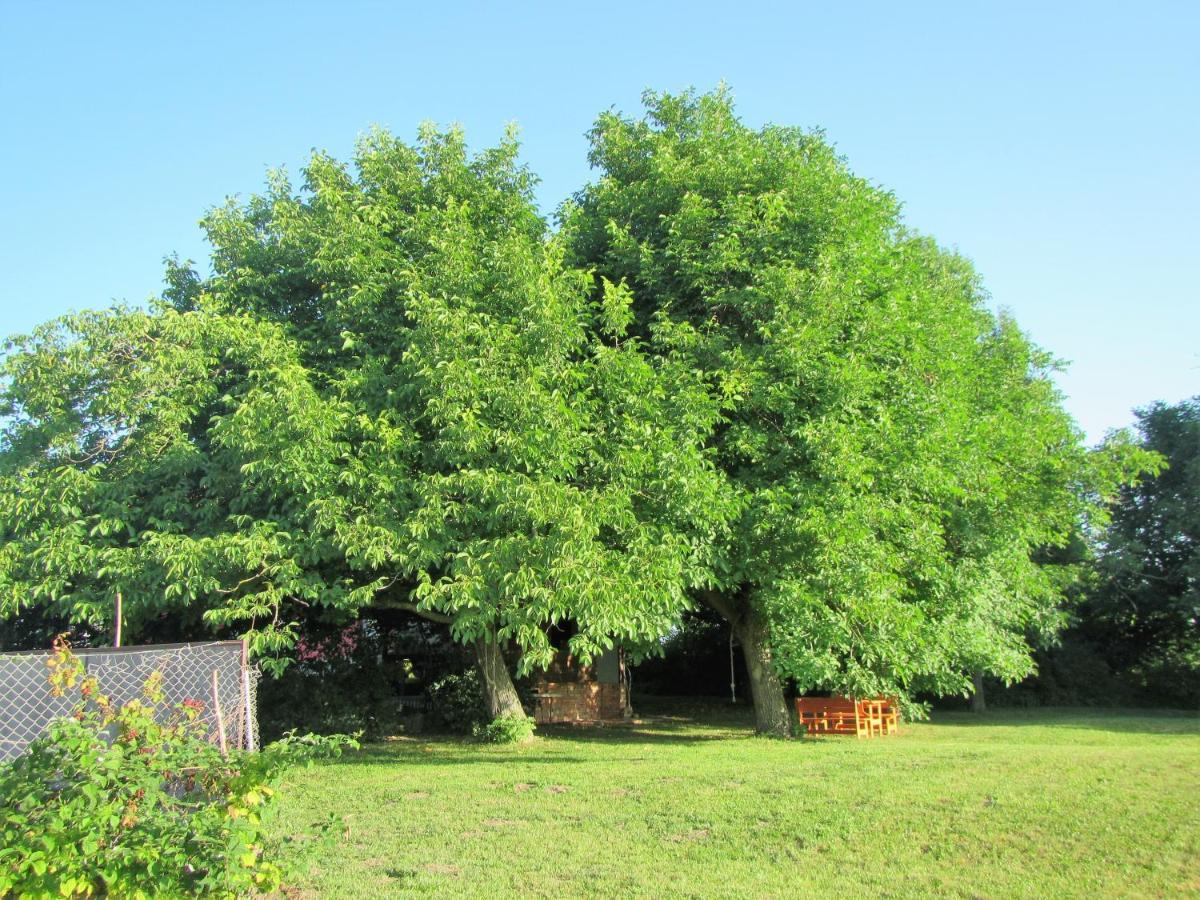 Pod Orehi Postojna Exterior foto