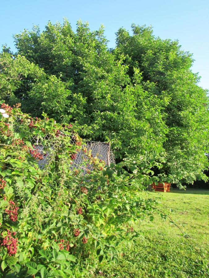 Pod Orehi Bed and Breakfast Postojna Exterior foto
