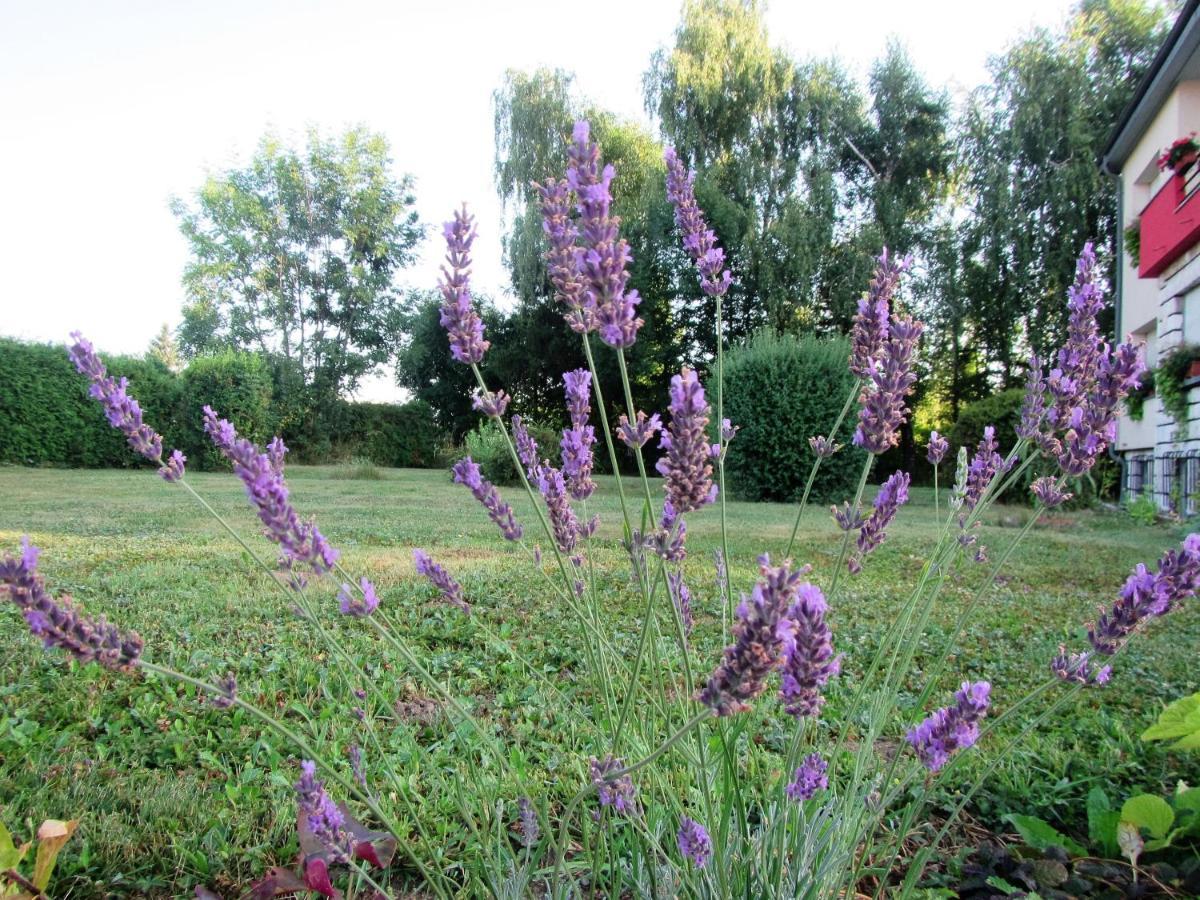 Pod Orehi Bed and Breakfast Postojna Exterior foto