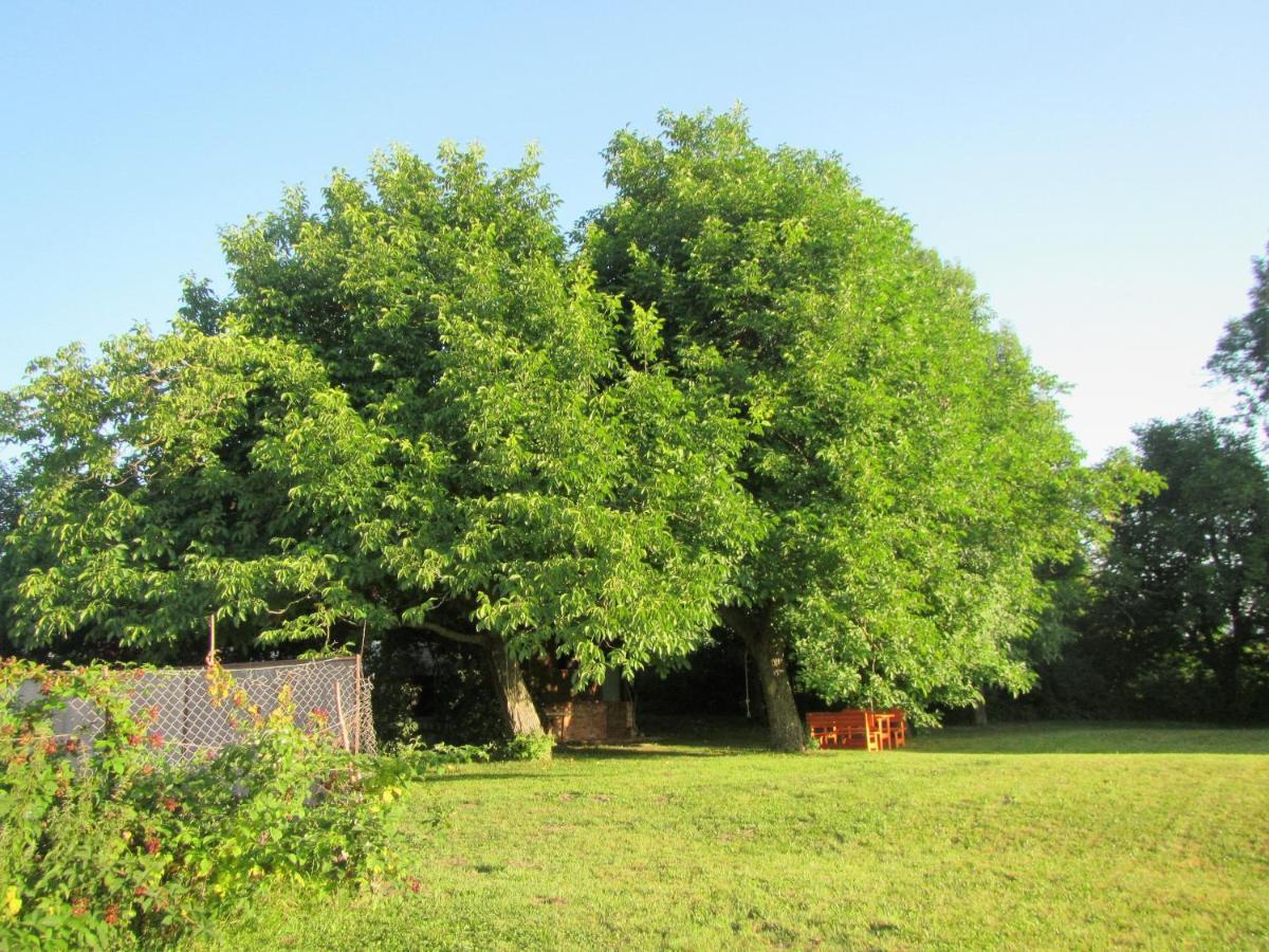 Pod Orehi Postojna Exterior foto