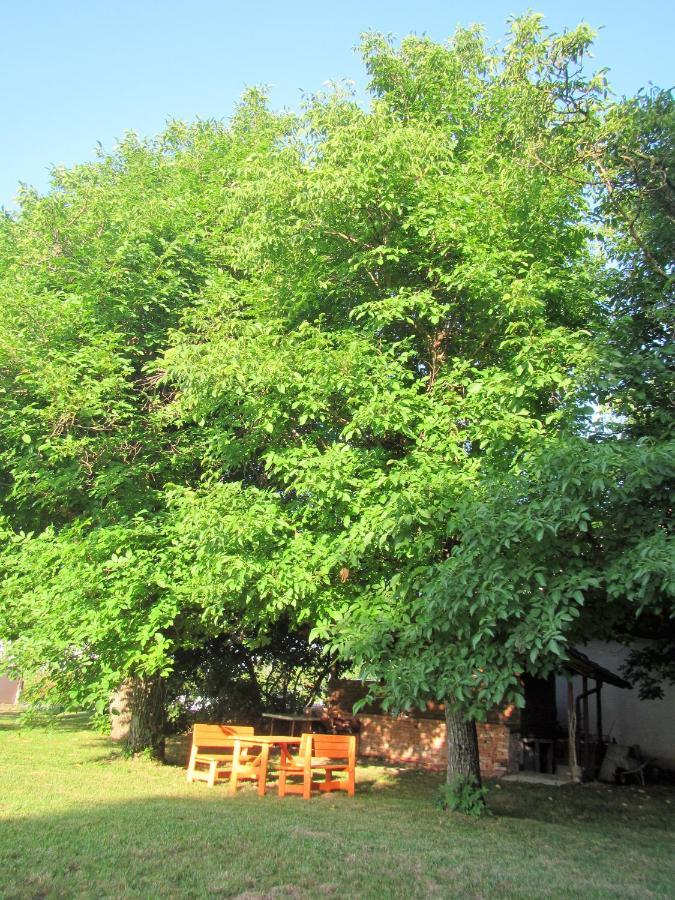Pod Orehi Bed and Breakfast Postojna Exterior foto