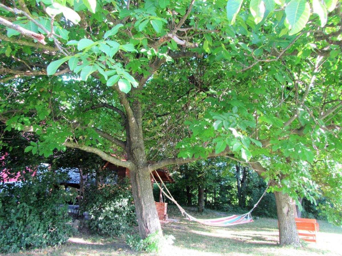 Pod Orehi Bed and Breakfast Postojna Exterior foto