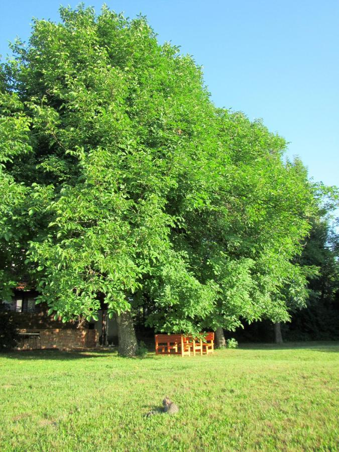 Pod Orehi Bed and Breakfast Postojna Exterior foto